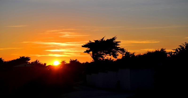 Séjour île de Ré guide pratique : 12 astuces pour un week-end réussi