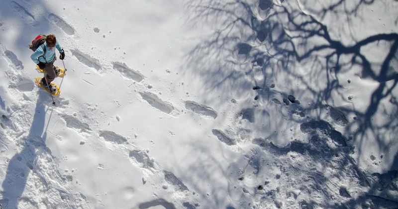 Quelle est la meilleure raquette à neige pour l'hiver ?