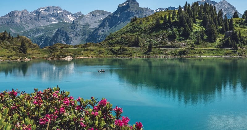 Organiser un séjour réussi dans les Alpes, saison après saison