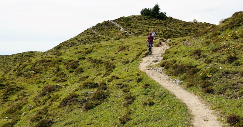 Festivals traditionnels alpins à découvrir en été : 10 incontournables