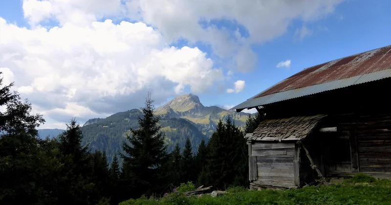 Comment trouver la bonne adresse (sans tomber sur une annonce trompeuse)